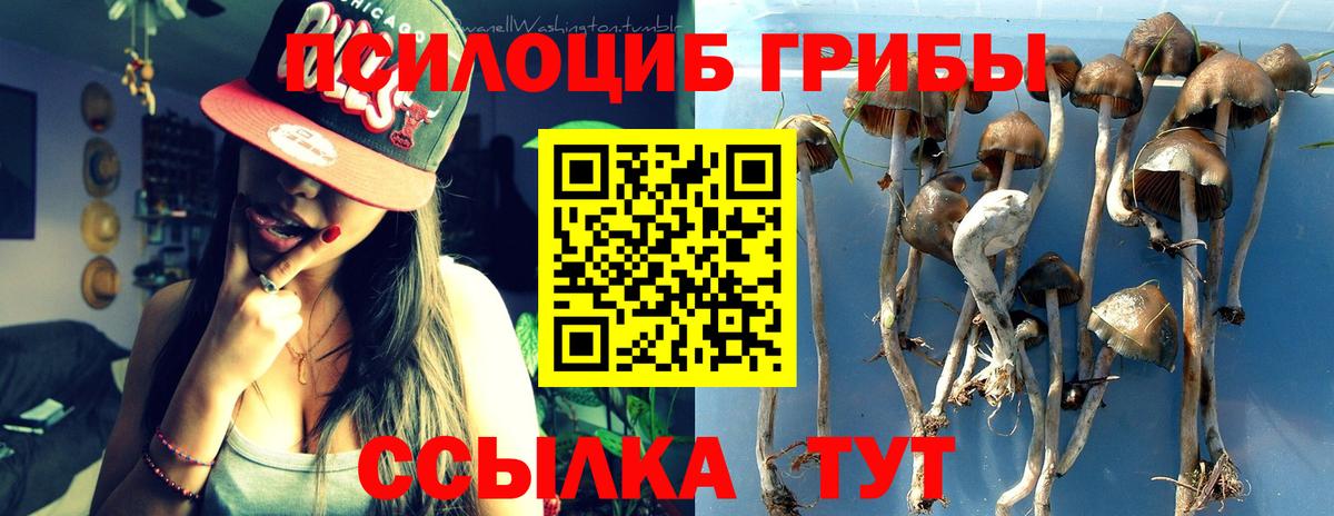 Псилоцибиновые грибы мицелий Лысьва