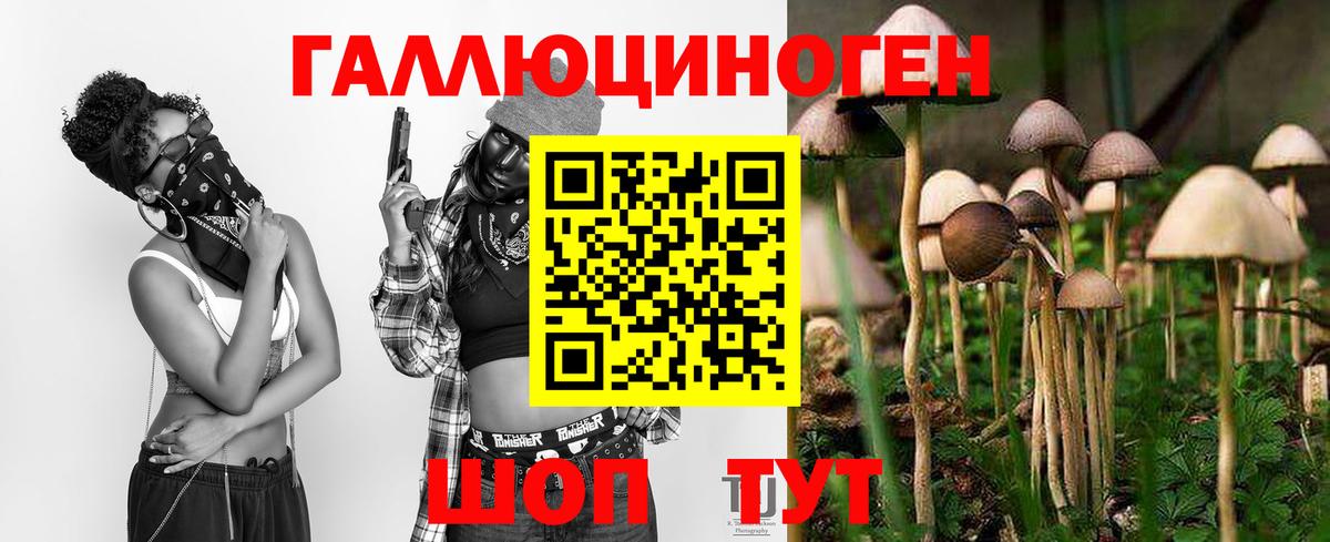Галлюциногенные грибы Psilocybine cubensis  Вход с VPN  Лысьва 